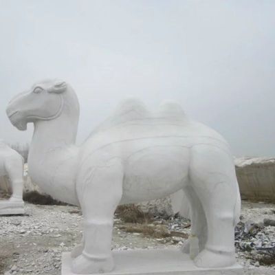 骆驼石雕，汉白玉骆驼