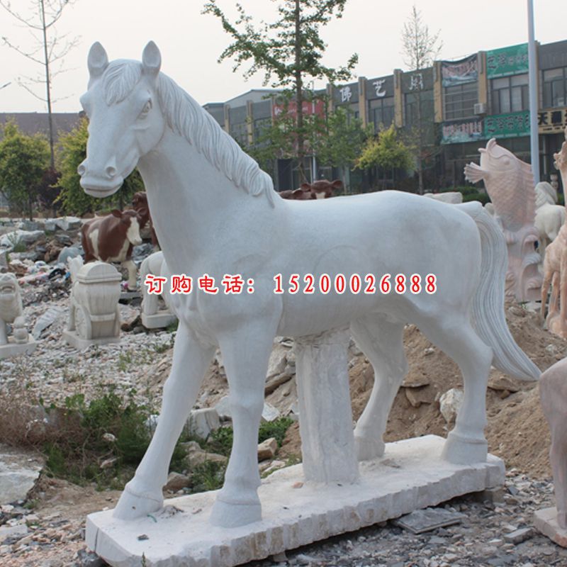 小马驹石雕，汉白玉小马驹石雕 (2)