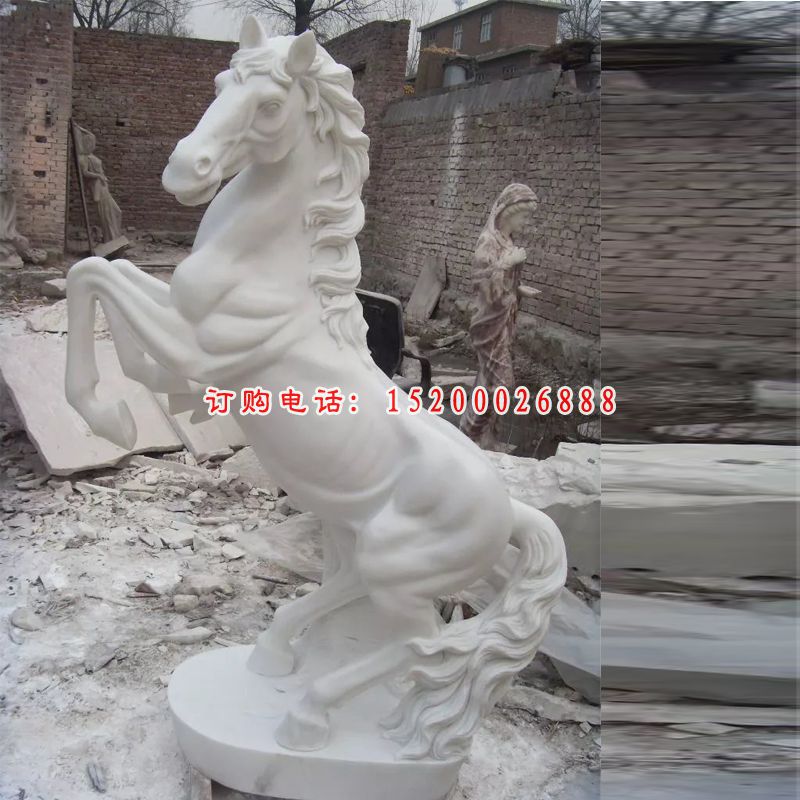 汉白玉石雕马，广场石马雕塑 (2)