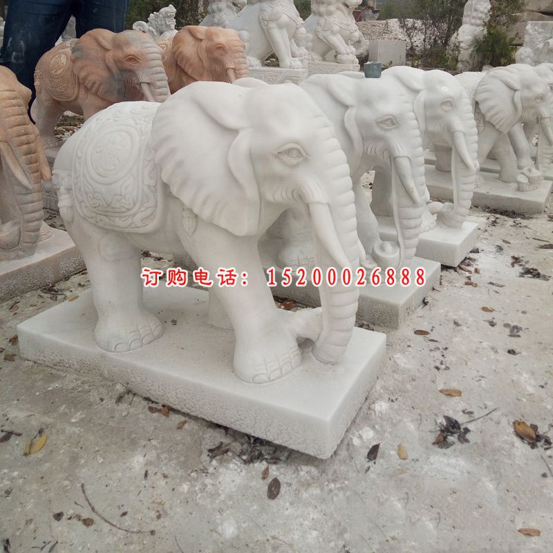 汉白玉大象雕塑，广场石雕大象 (1)