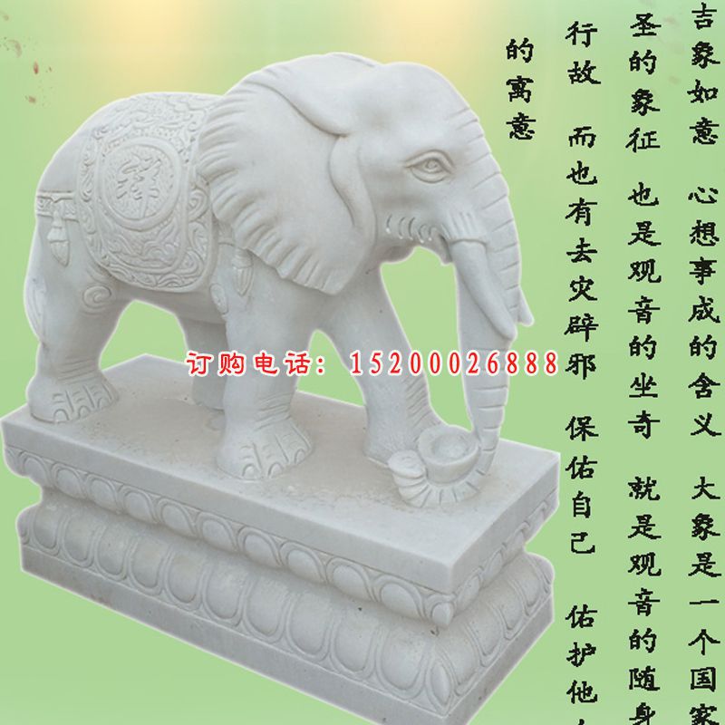 汉白玉镇宅大象石雕门口招财大象 (3)