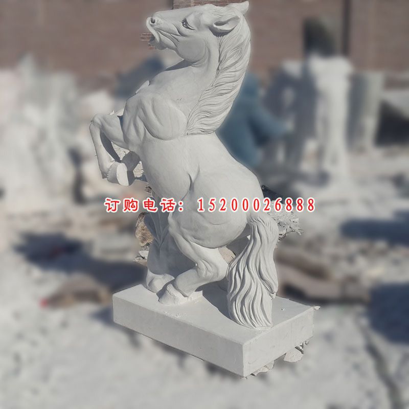 汉白玉马雕塑，动物石雕 (2)
