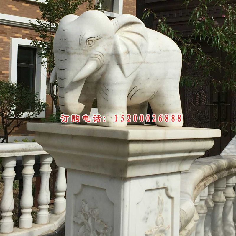 门口大象石雕汉白玉大象雕塑 (12)