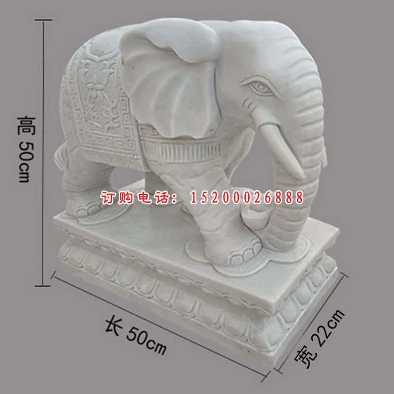 小象石雕，汉白玉招财小象 (3)
