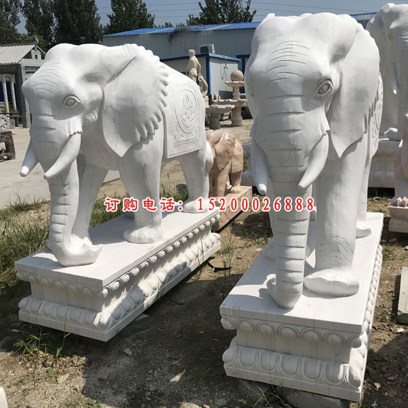 象鼻朝下的小象石雕 汉白玉门口大象石雕 (9)