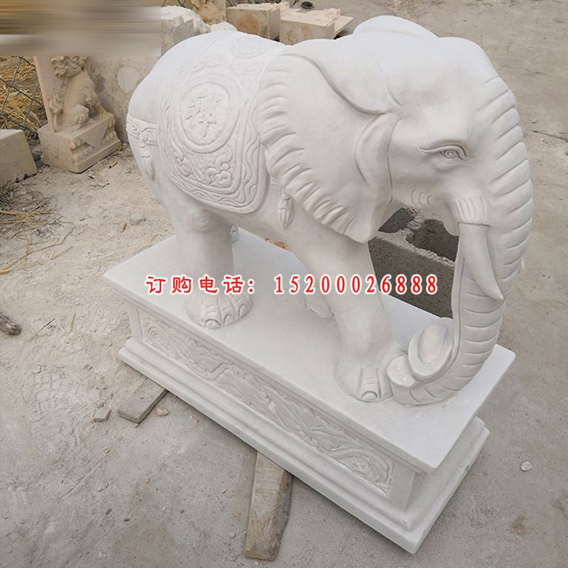 象鼻朝下的小象石雕,汉白玉门口大象石雕 (7)