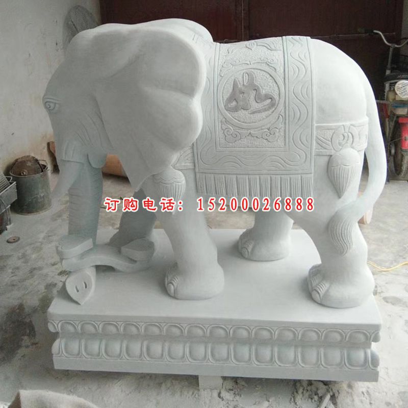象鼻朝下的小象石雕 汉白玉门口大象石雕 (10)