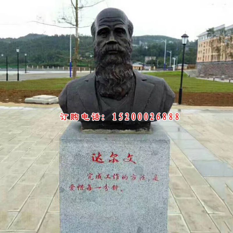 玻璃钢仿铜人物胸像雕塑 ，达尔文胸像雕塑