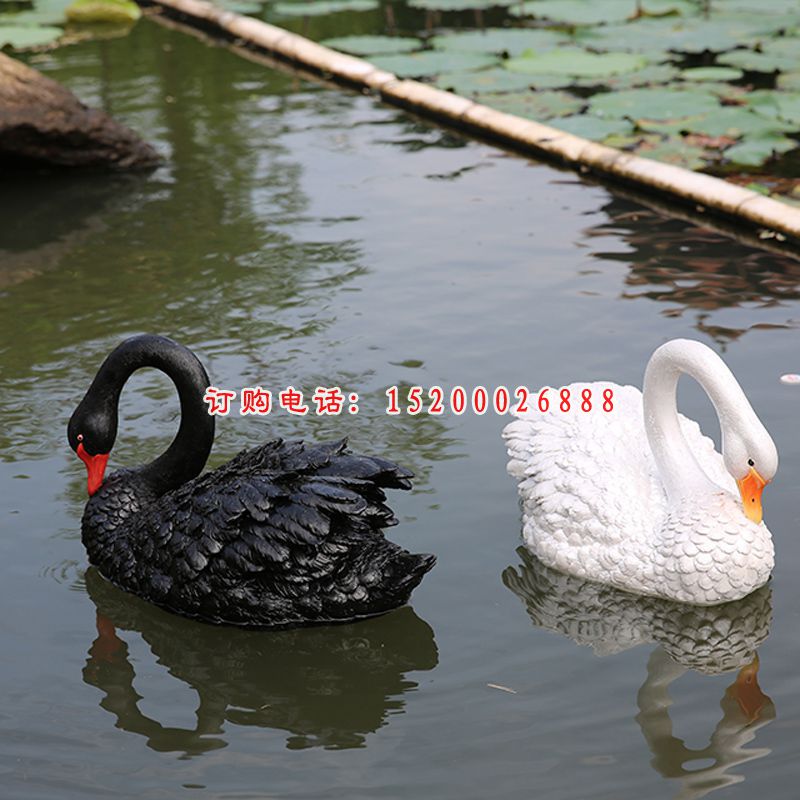 玻璃钢划水的黑天鹅   公园仿真动物 (1)