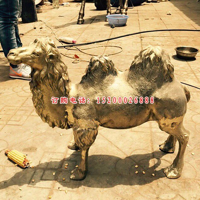 骆驼铜雕 (4)